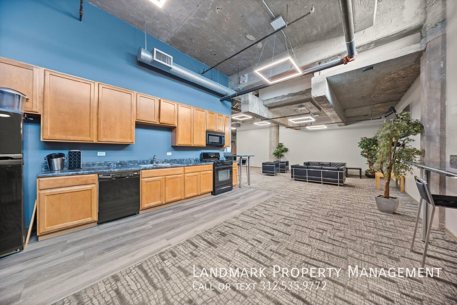 210 S Desplaines St Unit 903 property image
