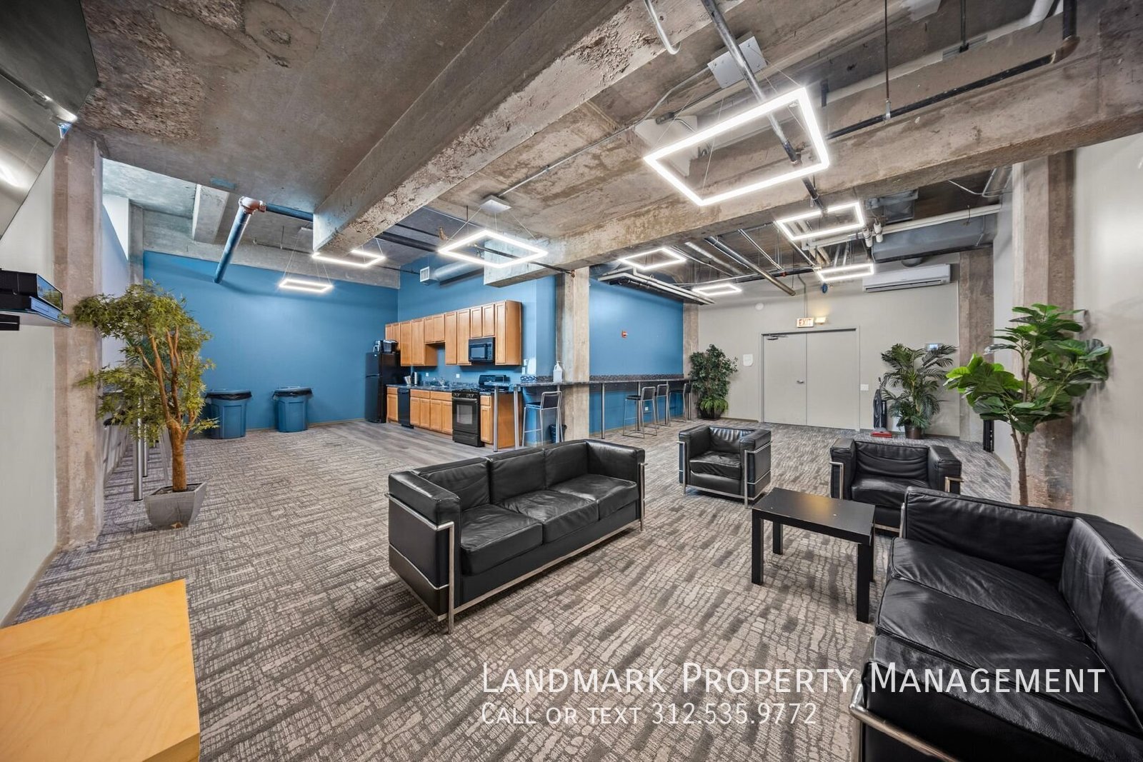 210 S Desplaines St Unit 903 property image