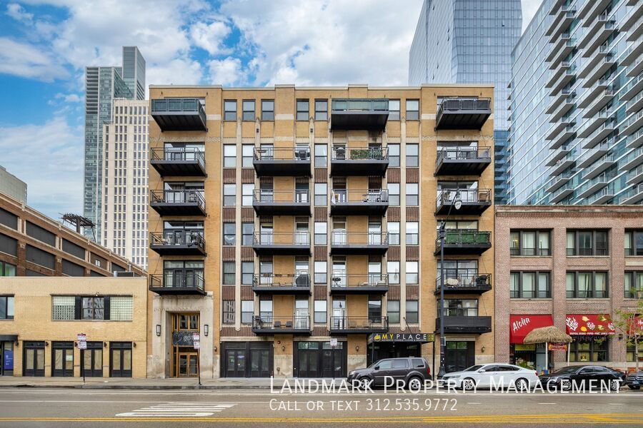 1307 S Wabash Ave Unit 411 property image