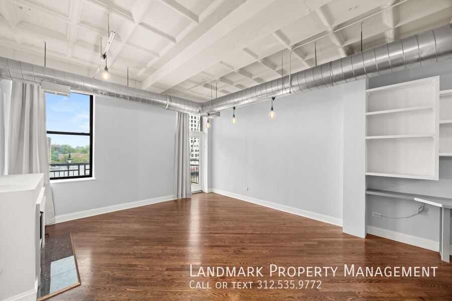 1307 S Wabash Ave Unit 411 property image