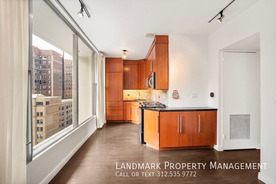 3200 N Lake Shore Dr Unit 909 property image