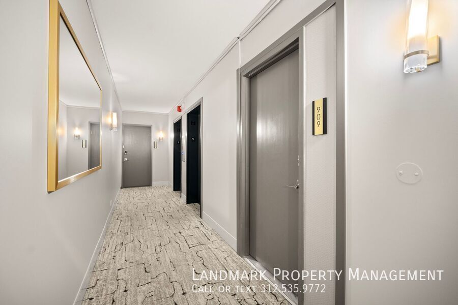 3200 N Lake Shore Dr Unit 909 property image