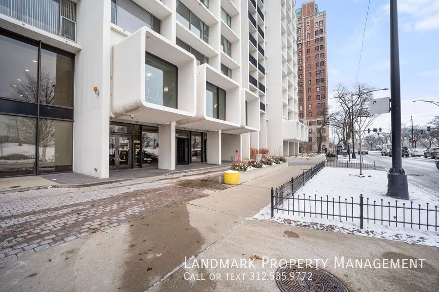 3200 N Lake Shore Dr Unit 909 property image