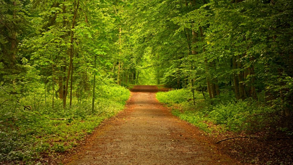 Oak Park Amentieis & Features Property Management