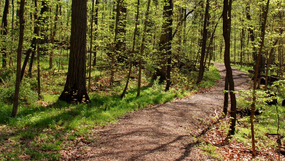 Orland Park Amentieis & Features Property Management